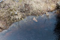 /album/orsa/img-8312-jpg/