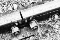 /album/orsa/img-8316-jpg/