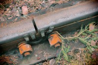 /album/orsa/img-8317-jpg/