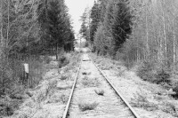 /album/orsa/img-8318-jpg/