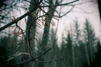 /album/orsa/img-8320-jpg/