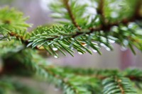 /album/orsa/img-8321-jpg/