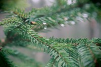 /album/orsa/img-8322-jpg/