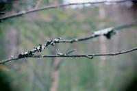 /album/orsa/img-8324-jpg/