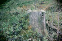 /album/orsa/img-8325-jpg/