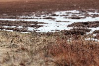 /album/orsa/img-8326-jpg/