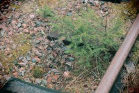 /album/orsa/img-8327-jpg/